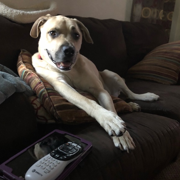 Meet your Posh Ambassador Jamie V!! - Picture 4 of 6